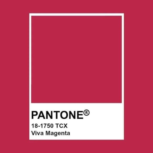 color pantone 2023
