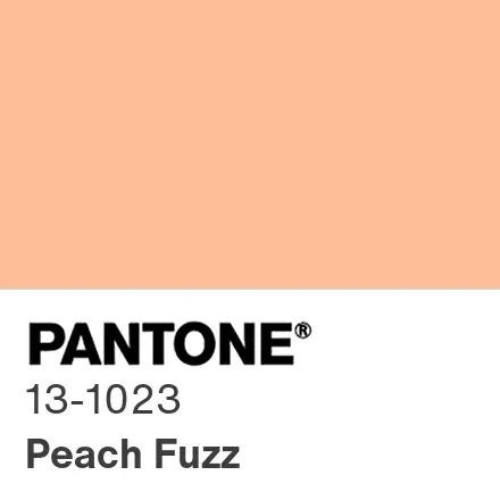 color pantone 2024